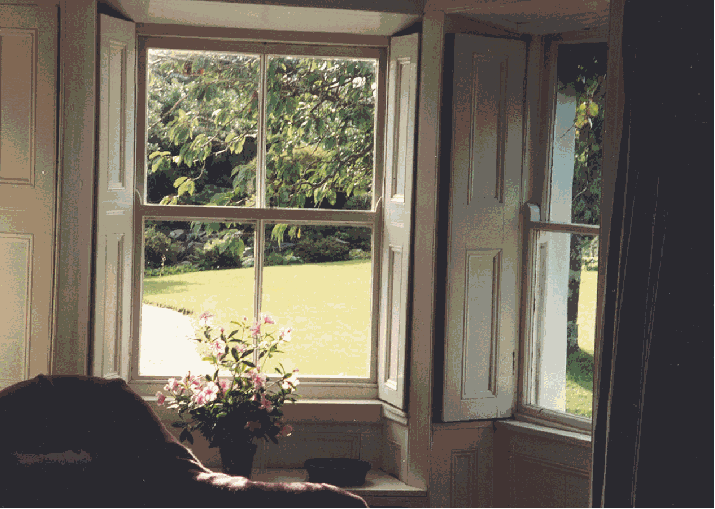 Homemade Scones and Jelly from the Orchard in front of the Fire!